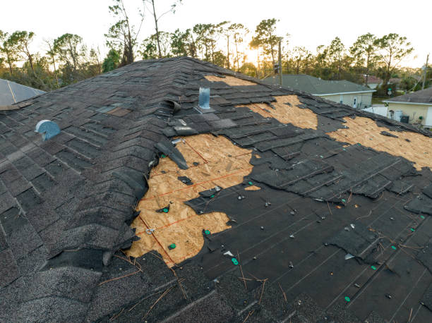 Best Roof Insulation Installation  in Edinburg, TX
